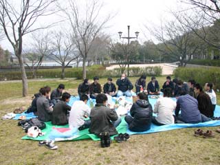 2008hanami1